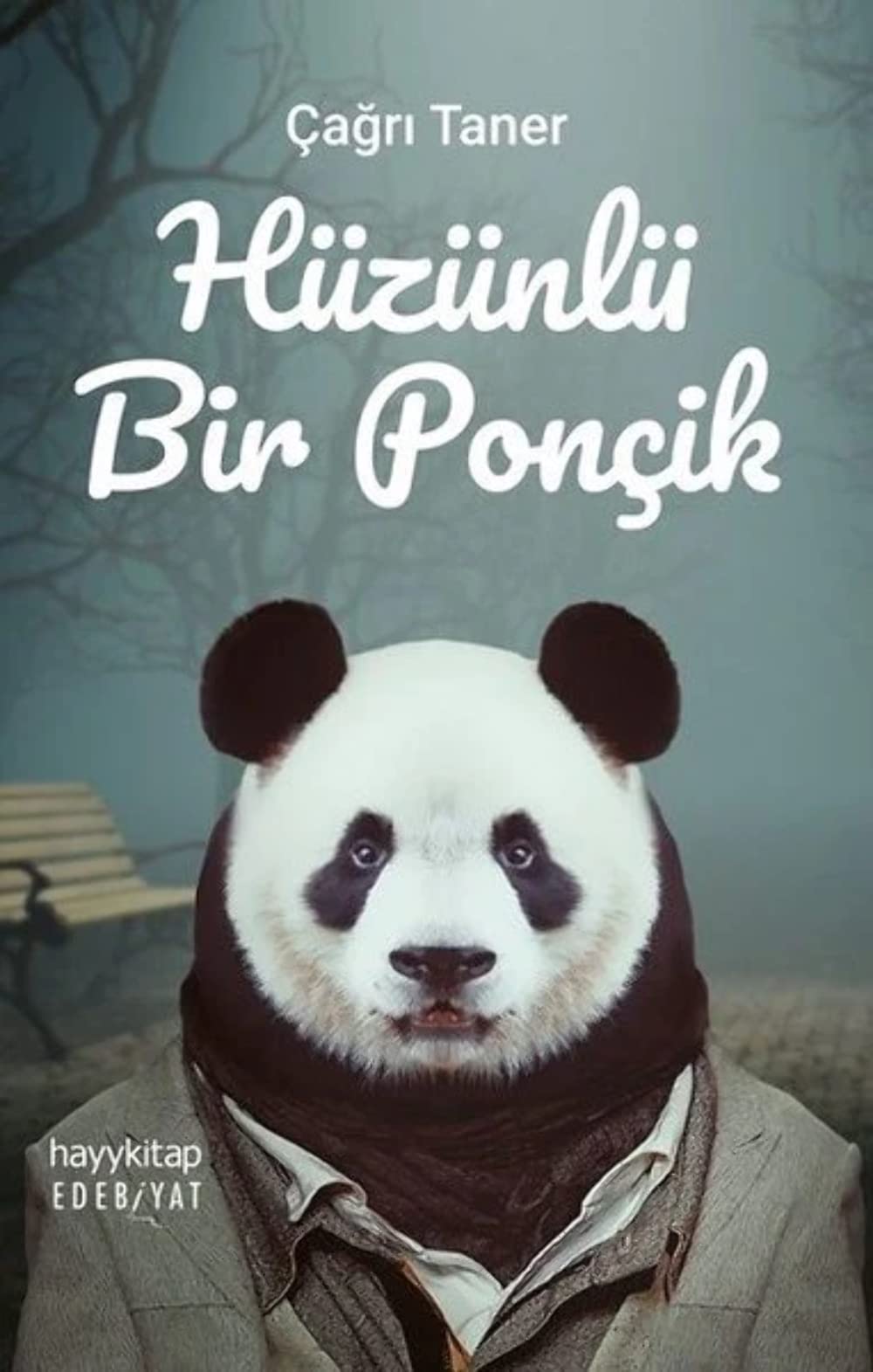 Product Image: Hüzünlü Bir Poncik
