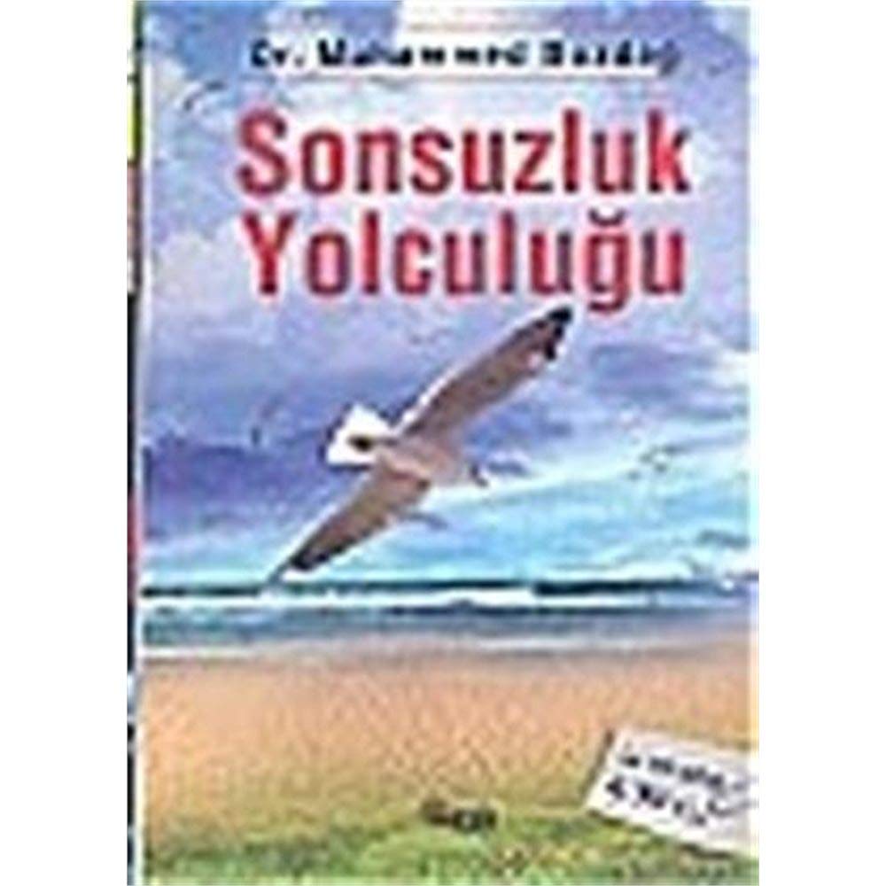 SONSUZLUK YOLCULUĞU book