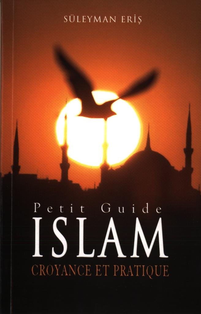 Petit Guide de l'Islam. Croyance et pratique. Books