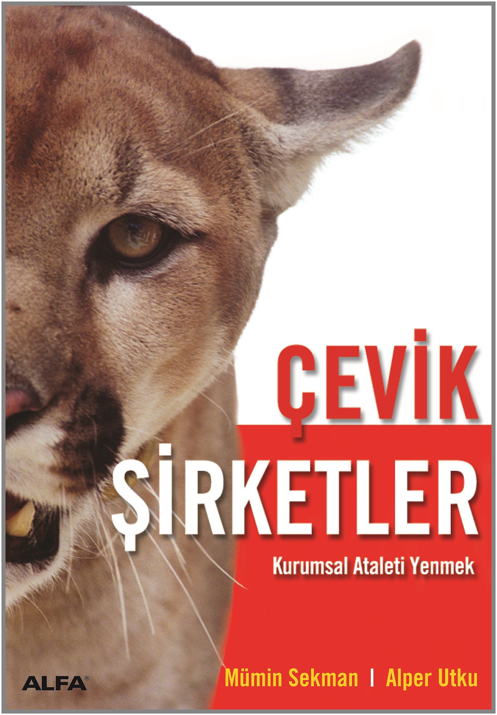 Cevik Sirketler: Kurumsal Ataleti Yenmek Business, Finance & Career