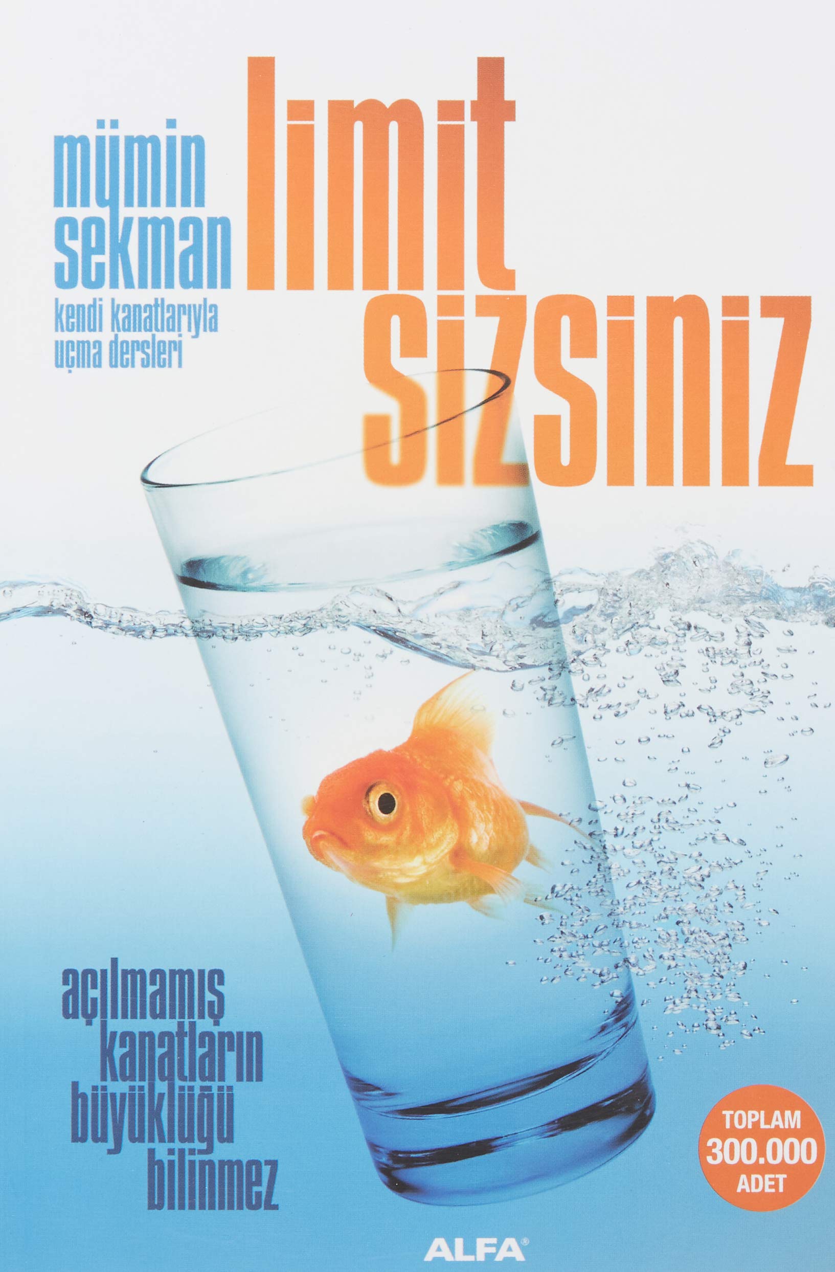 Limit Sizsiniz book