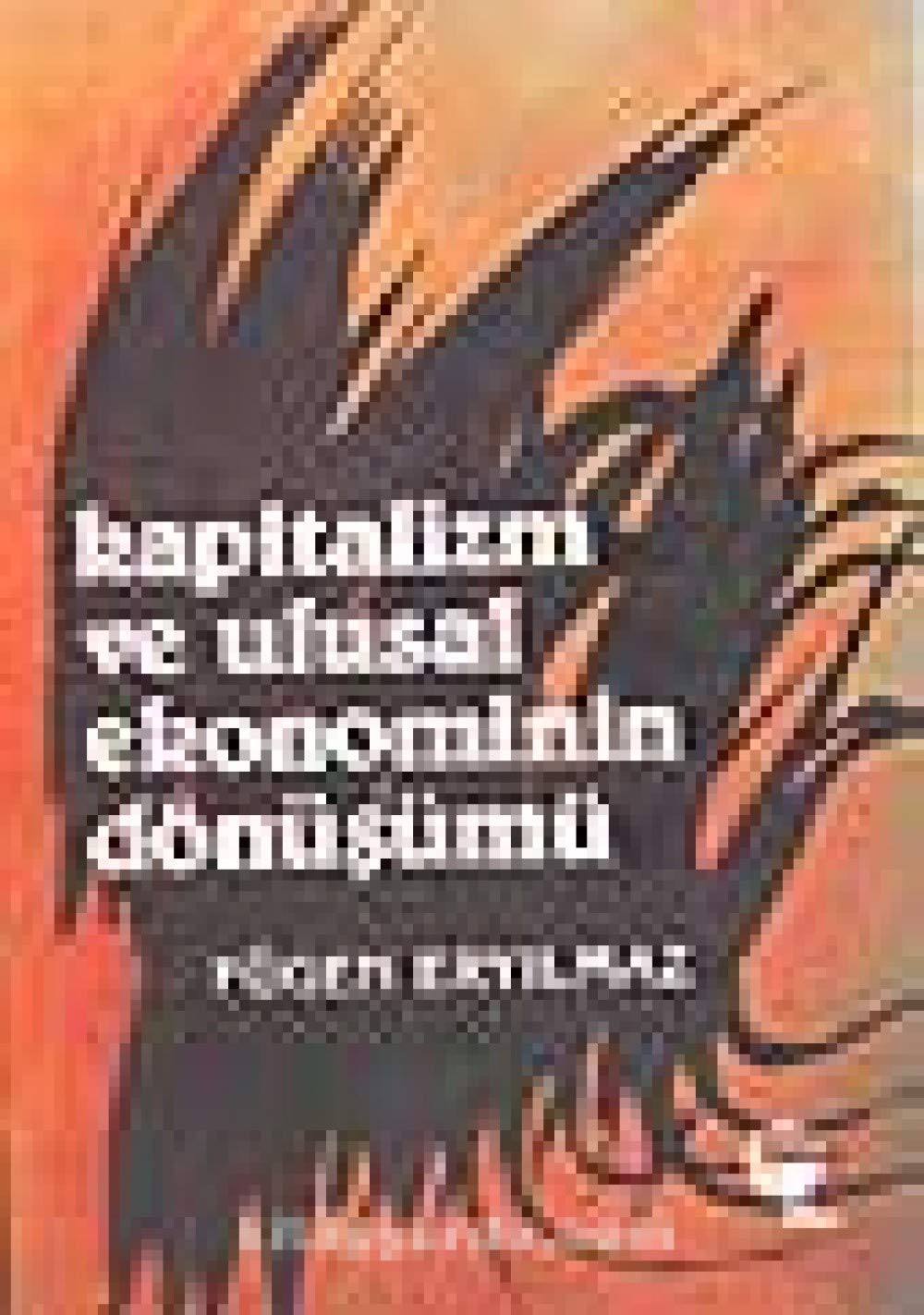 Kapitalizm ve Ulusal Ekonominin Dönüşümü Books