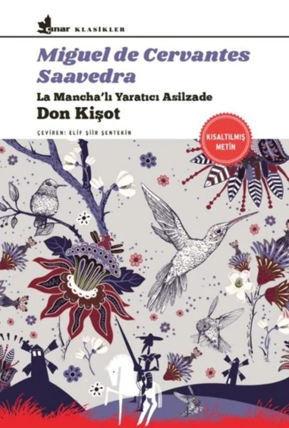 Don Kişot: La Mancha’lı Yaratıcı Asilzade Historical Fiction