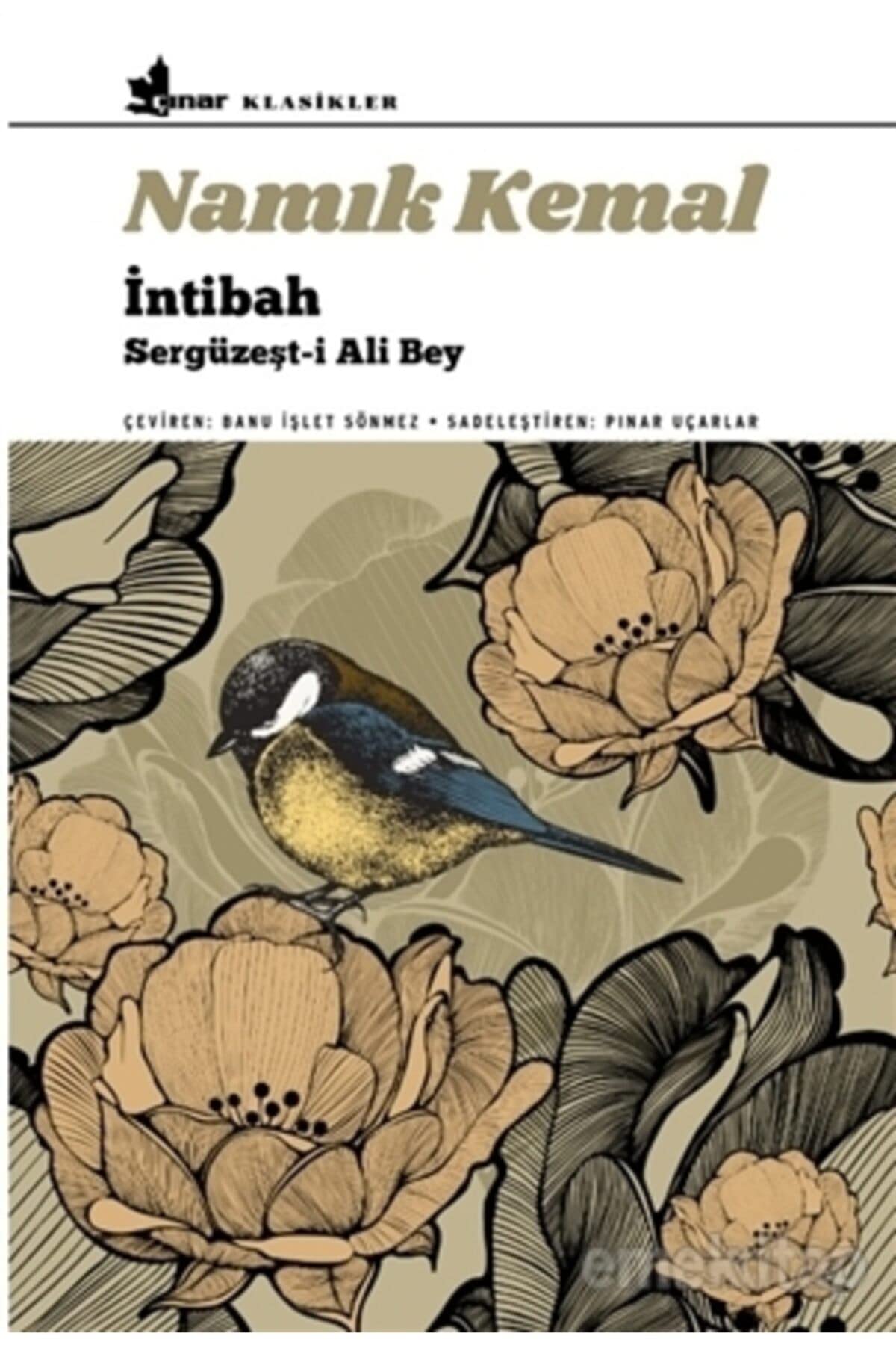İntibah - Sergüzeşt-i Ali Bey Historical Fiction
