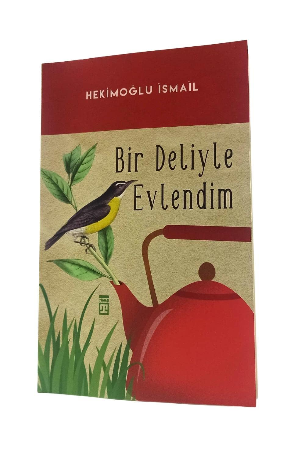Bir Deliyle Evlendim Historical Fiction