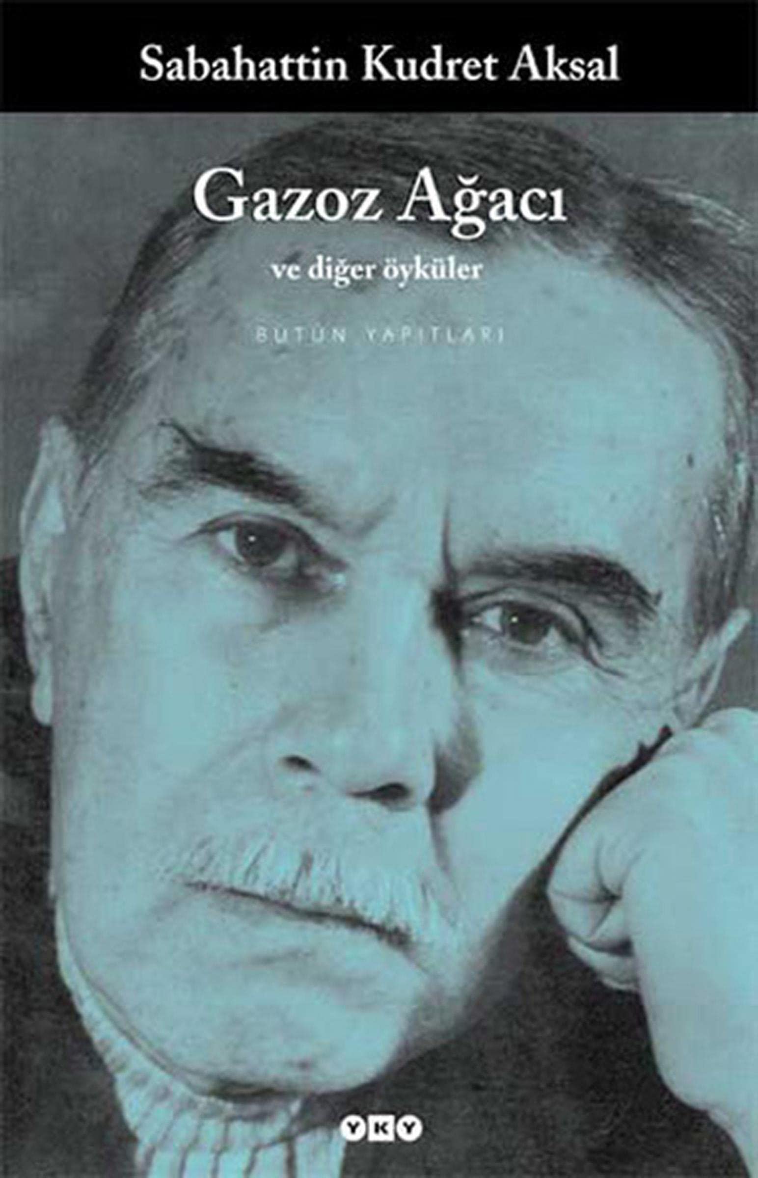 Gazoz Agaci ve Diger Öyküler book