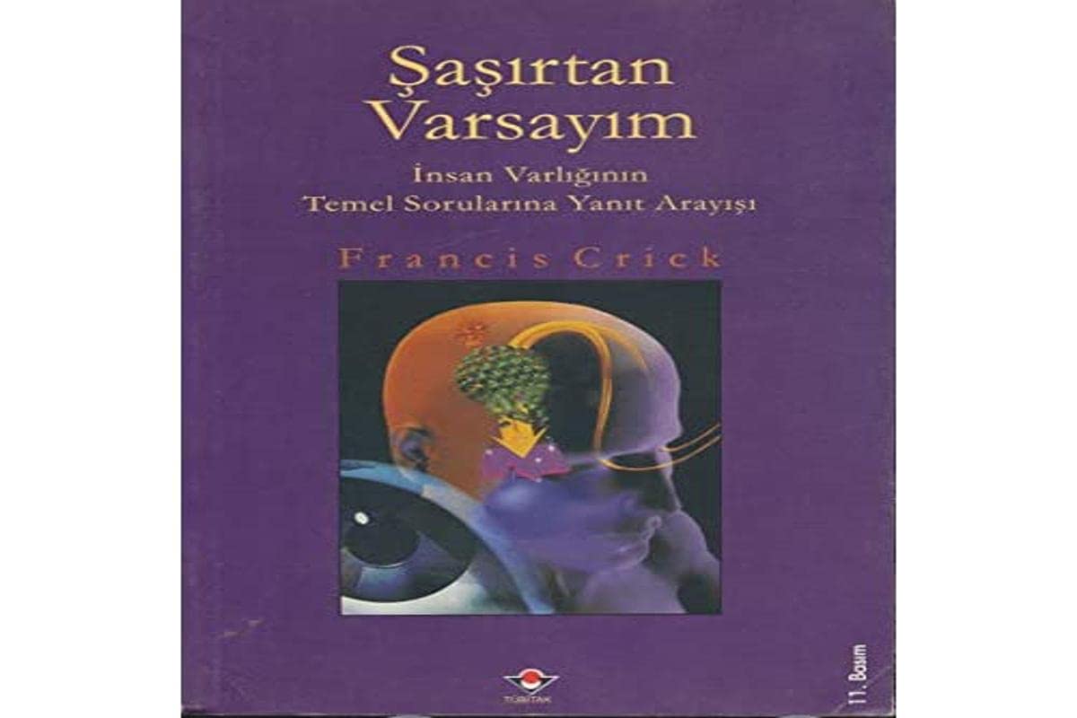 Şaşırtan Varsayım İnsan Varlığının Temel Sorularına Yanıt Arayışı Books