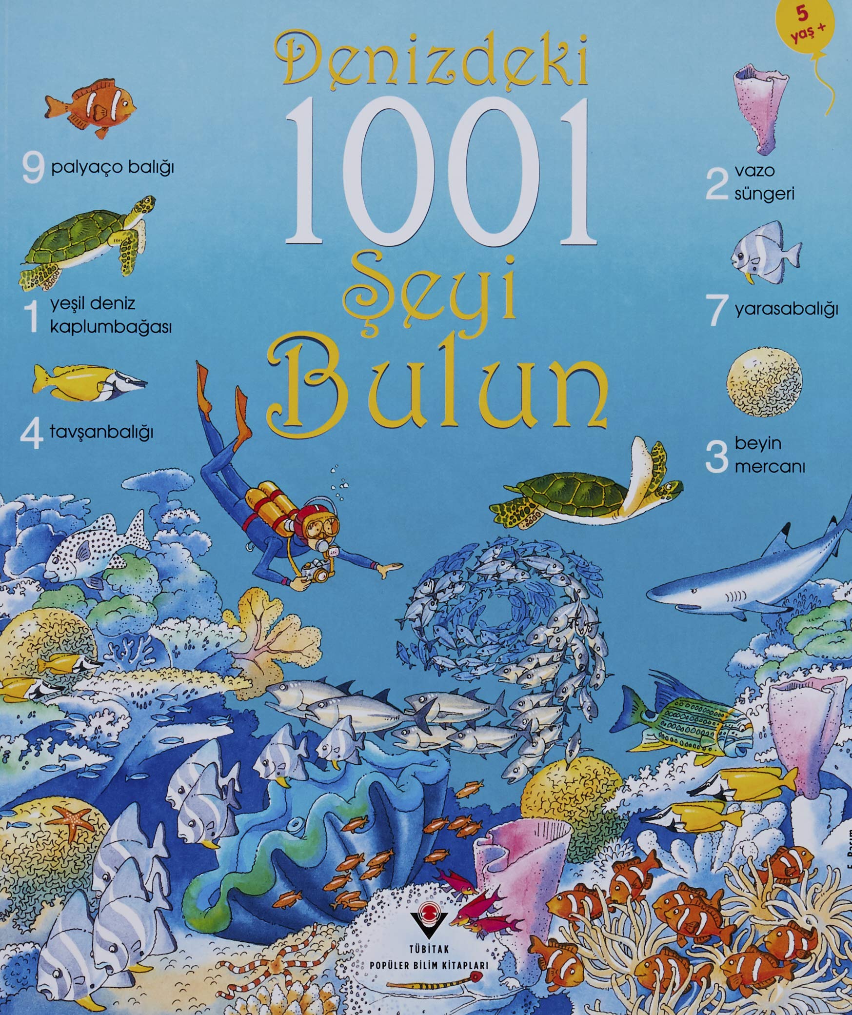 Denizdeki 1001 Seyi Bulun Fairy Tales & Legends