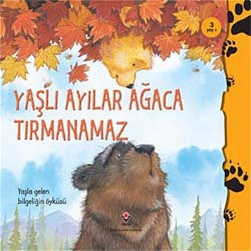 Yaslı: Ayilar Agaca Tirmanamaz; Yasla Gelen Bilgeligin Öyküsü: Yaşla Gelen Bilgeliğin Öyküsü Contemporary literature Books
