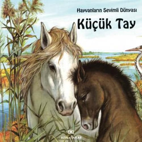 Küçük Tay: Hayvanların Sevimli Dünyası book