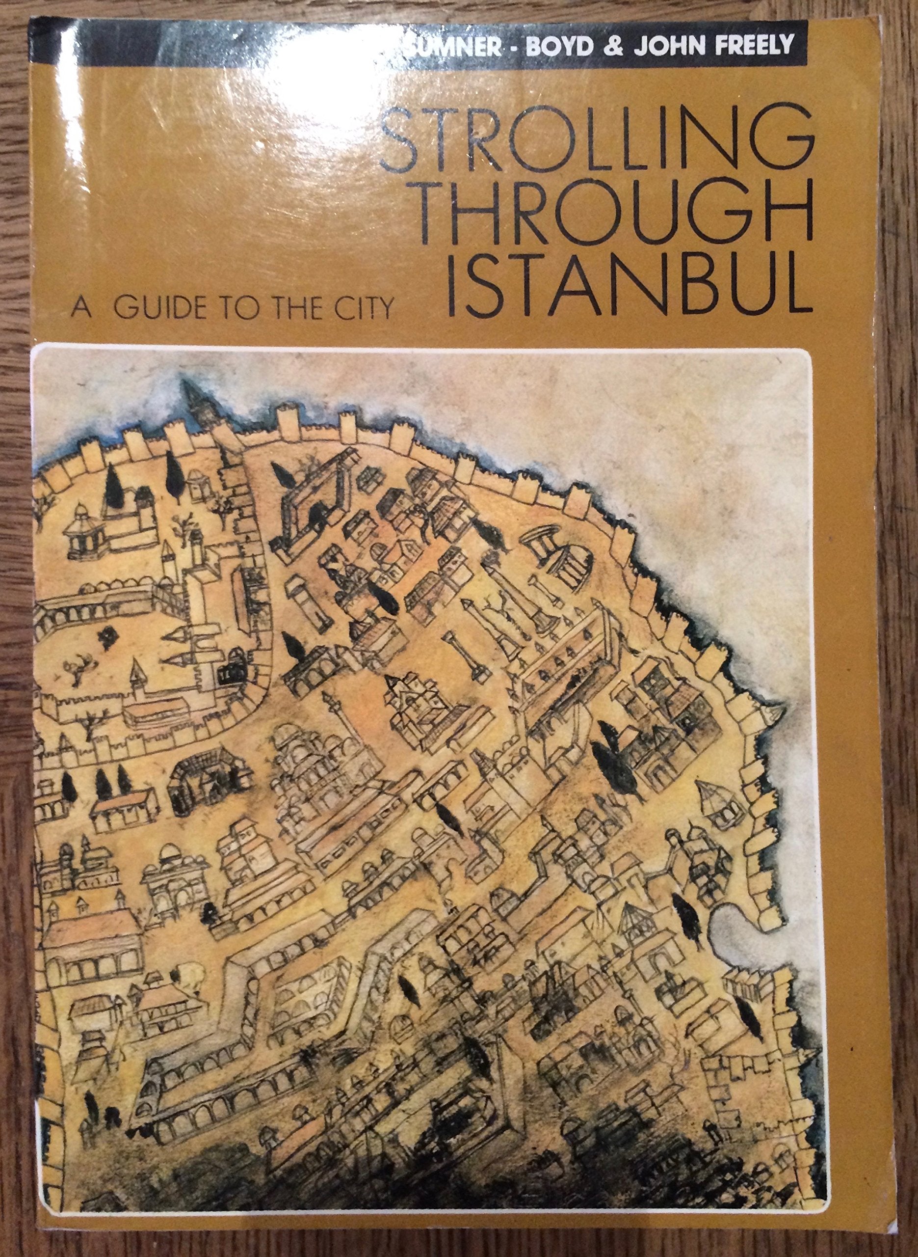 Strolling Though Istanbul: a Guide to the City Books