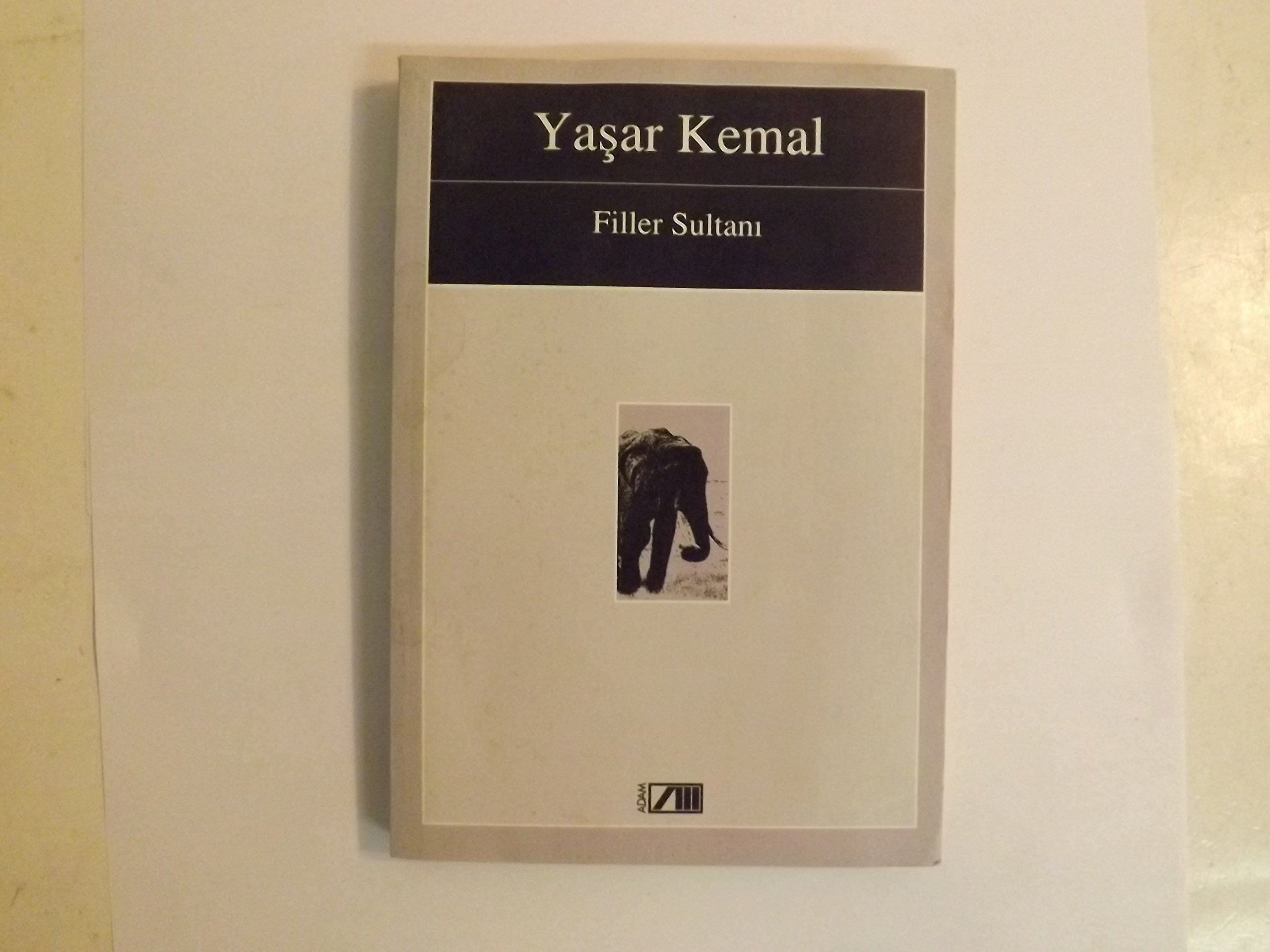 Filler Sultani: Roman Fiction
