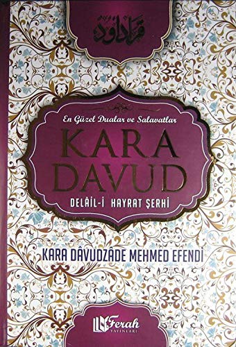 Kara Davud Delail-i Hayrat Şerhi (İthal Kağıt-Ciltli) Books