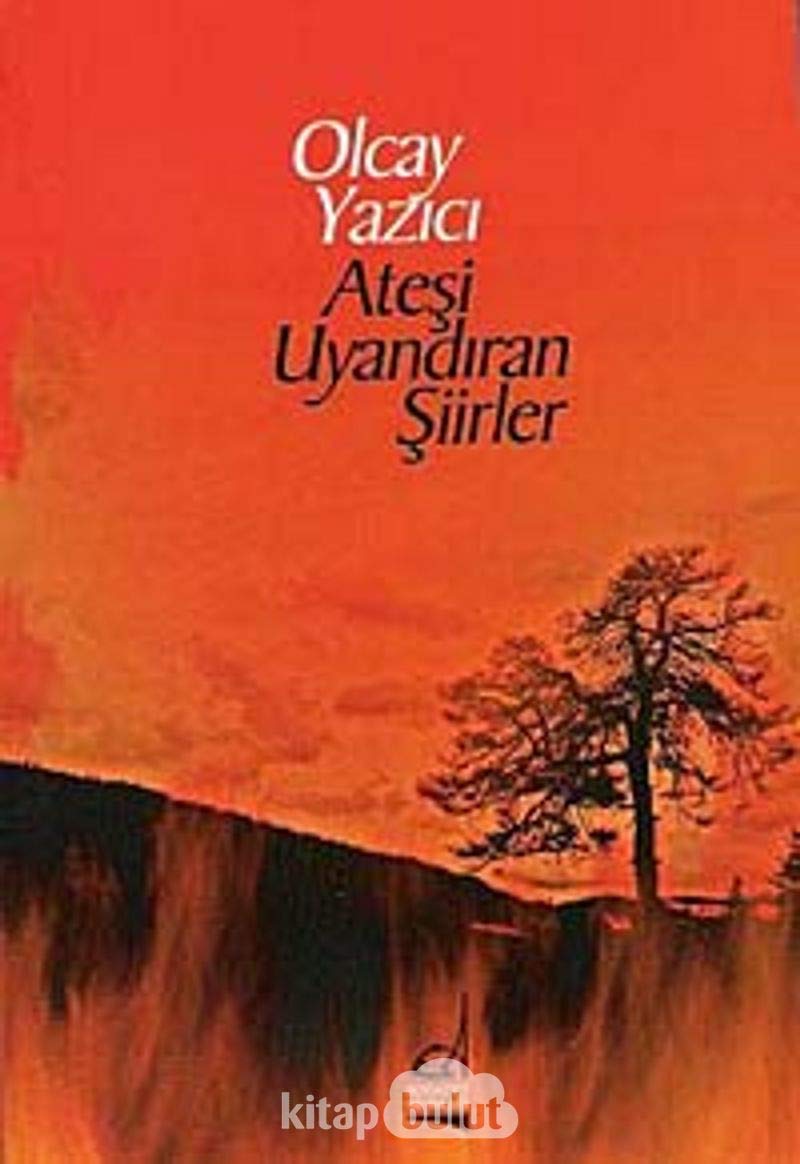 Ateşi Uyandıran Şiirler Books