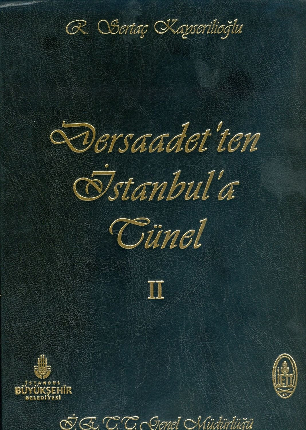 Türkler ve Kürtler: Nereden Nereye? Books