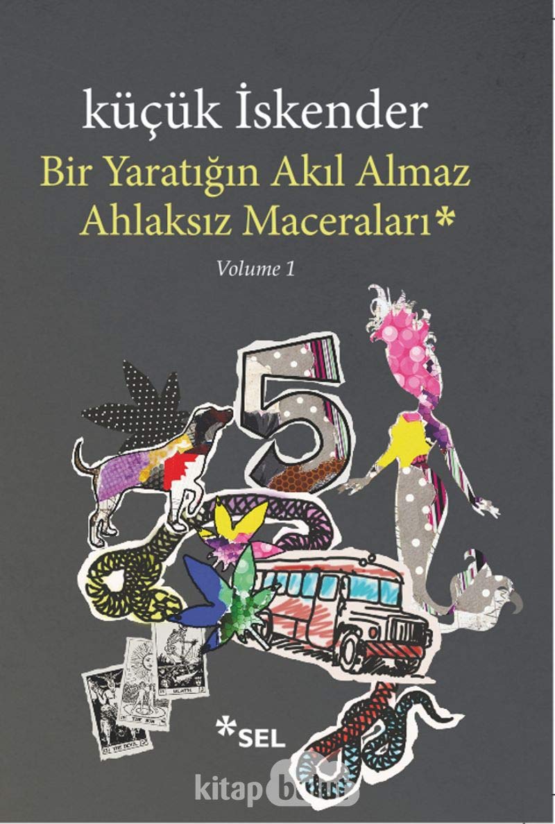 Bir Yaratigin Akil Almaz Ahlaksiz Maceralari: Volume 1 Essays & Short Stories