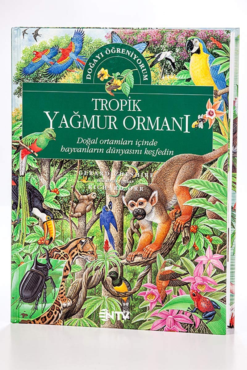TROPİK YAĞMUR ORMANI Mathematics