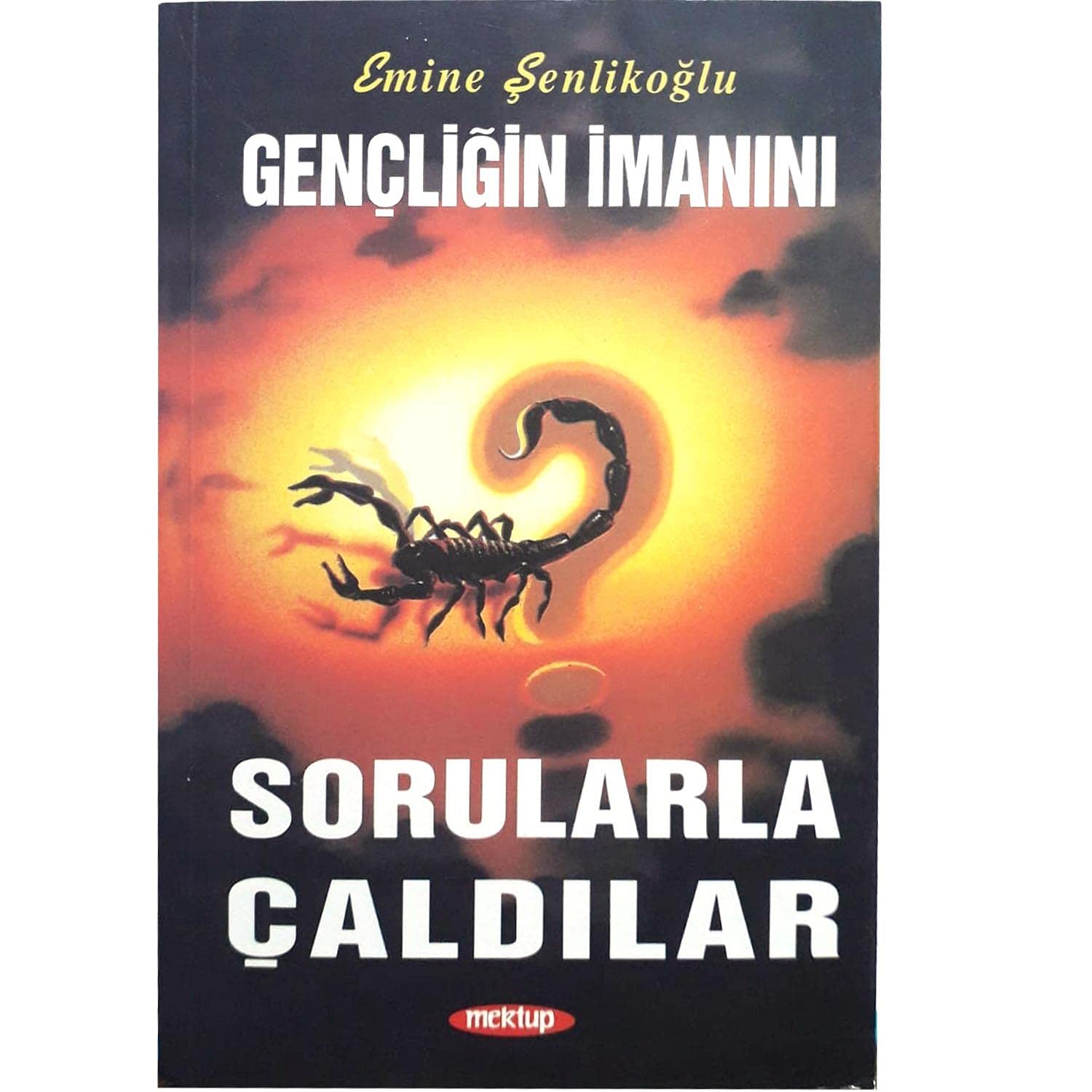 Gencligin Imanini Sorularla Caldilar Social Sciences