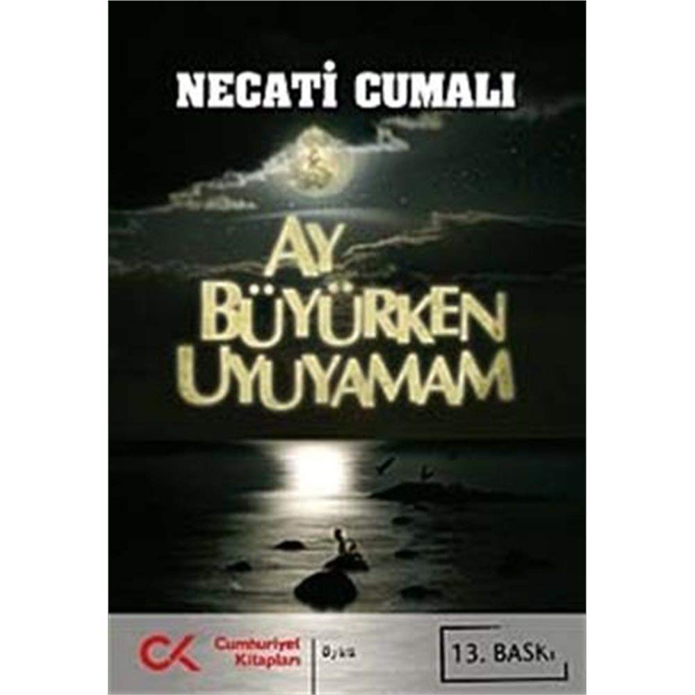 Ay Büyürken Uyuyamam Historical Fiction