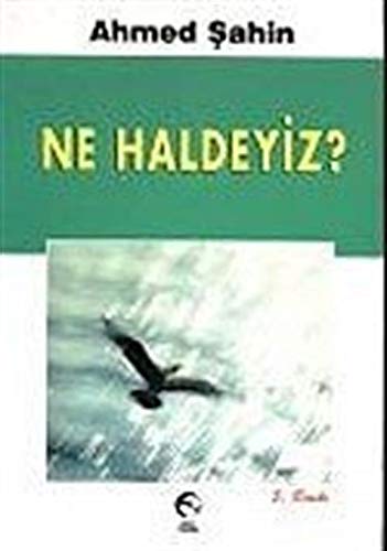 Product Image: Ne Haldeyiz?