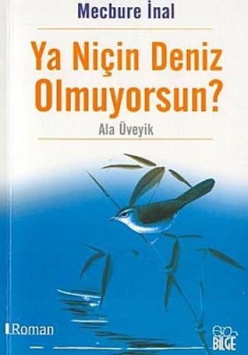YA NİÇİN DENİZ OLMUYORSUN Historical Fiction