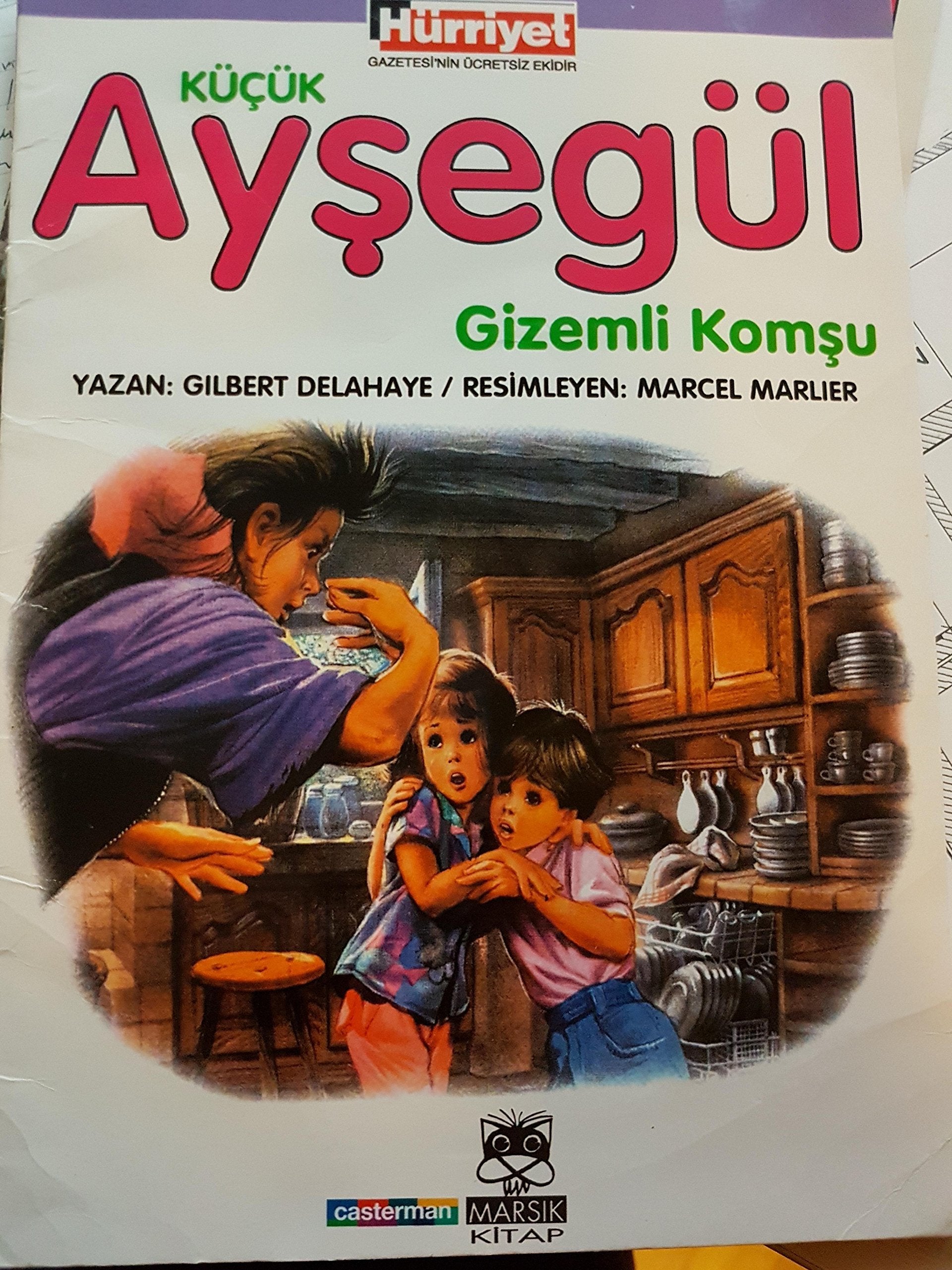 KÜÇÜK AYŞEGÜL EVİ Contemporary literature