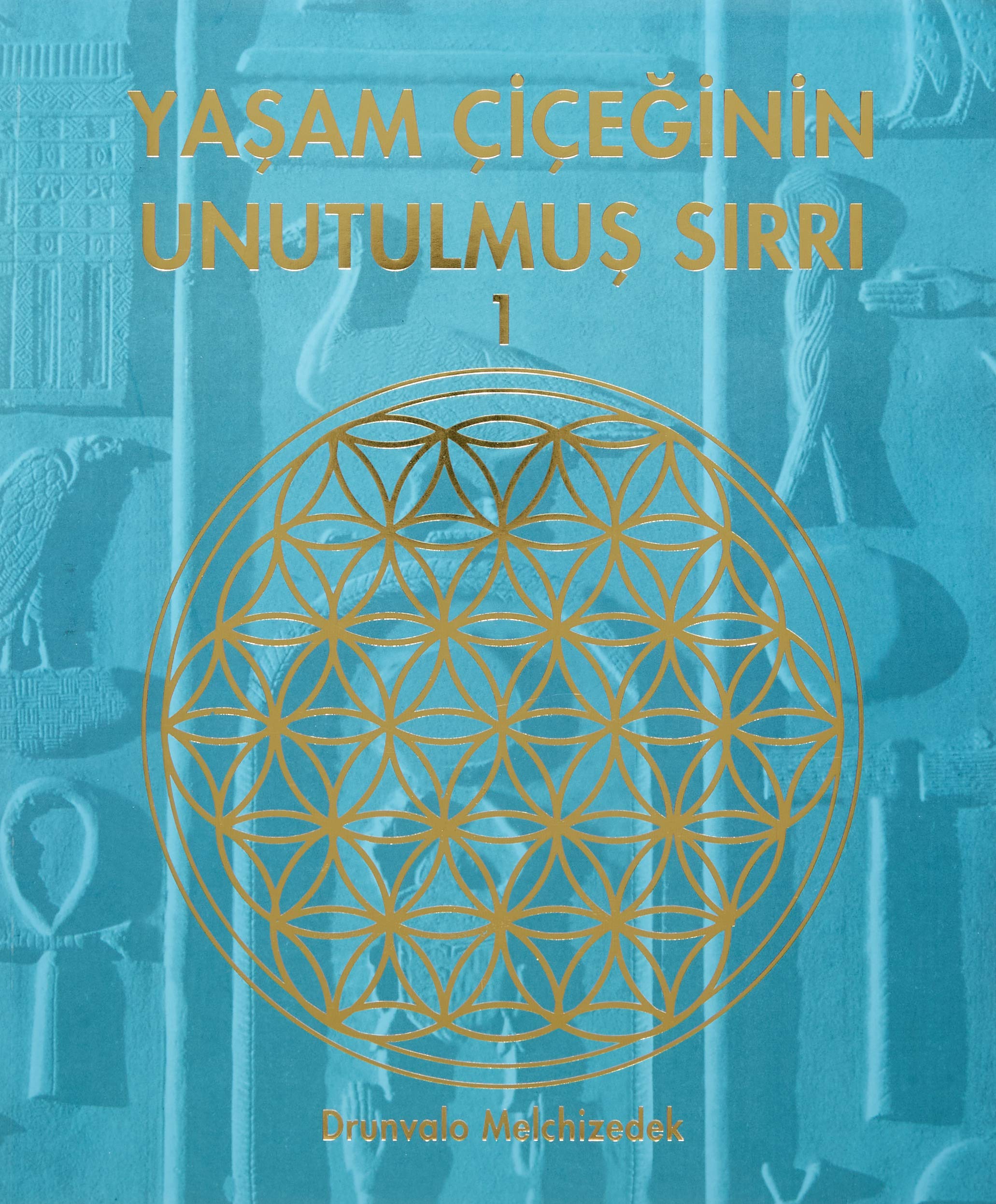Yasam Ciceginin Unutulmus Sirri 1 Contemporary literature