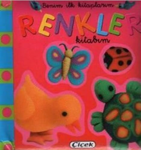 BENİM İLK KİTAPLARIM RENKLER Contemporary literature