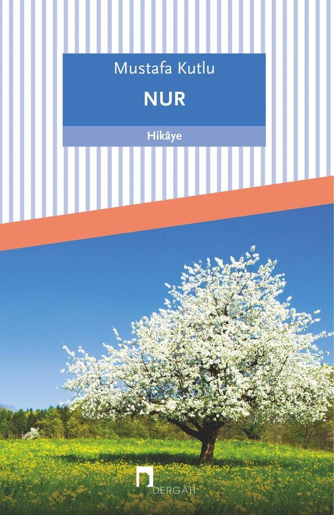 Nur (Dergah Yayinlari, Band 555) Contemporary literature