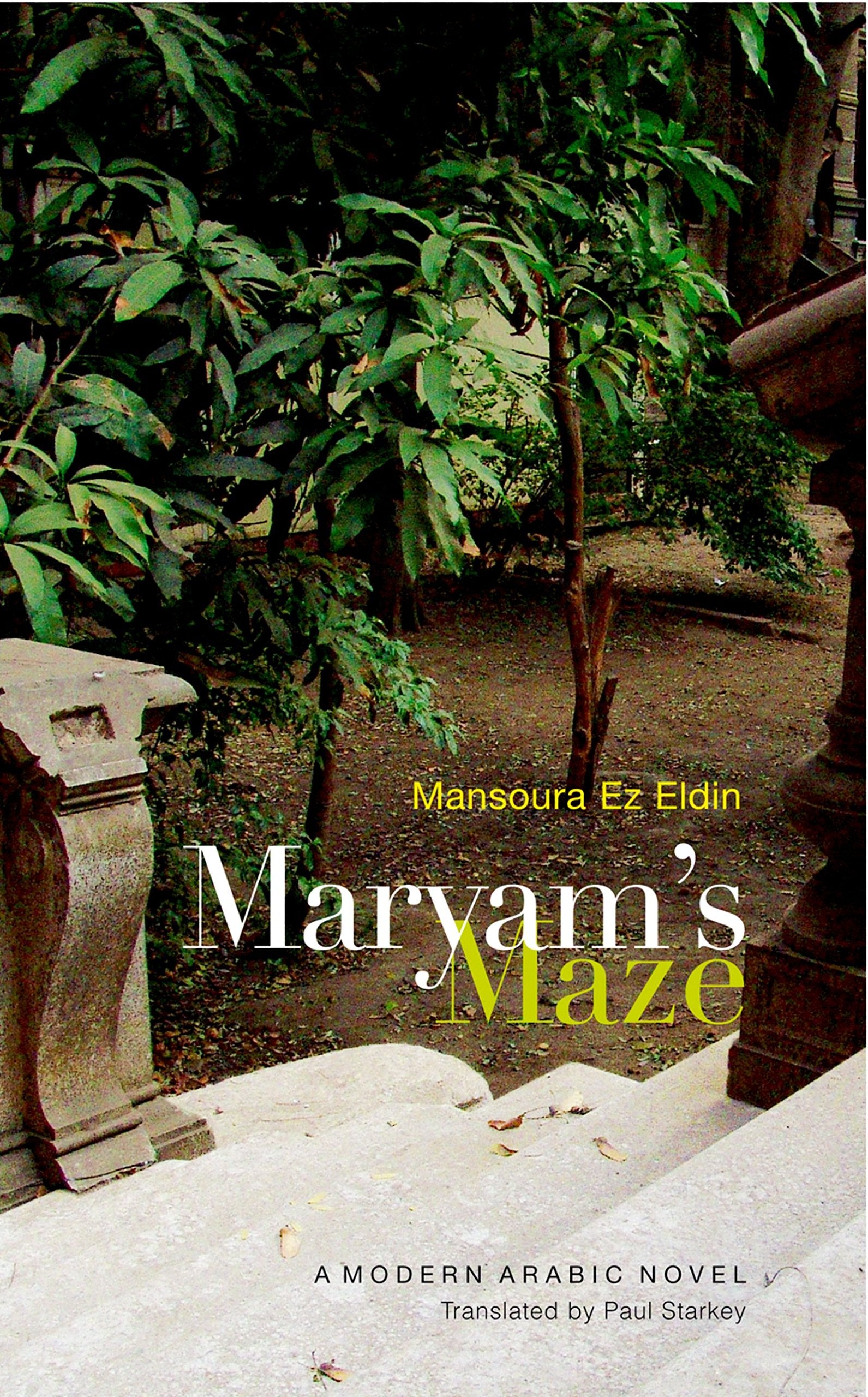 Maryam's Maze: A Modern Arabic Novel from Egypt Contemporary literature