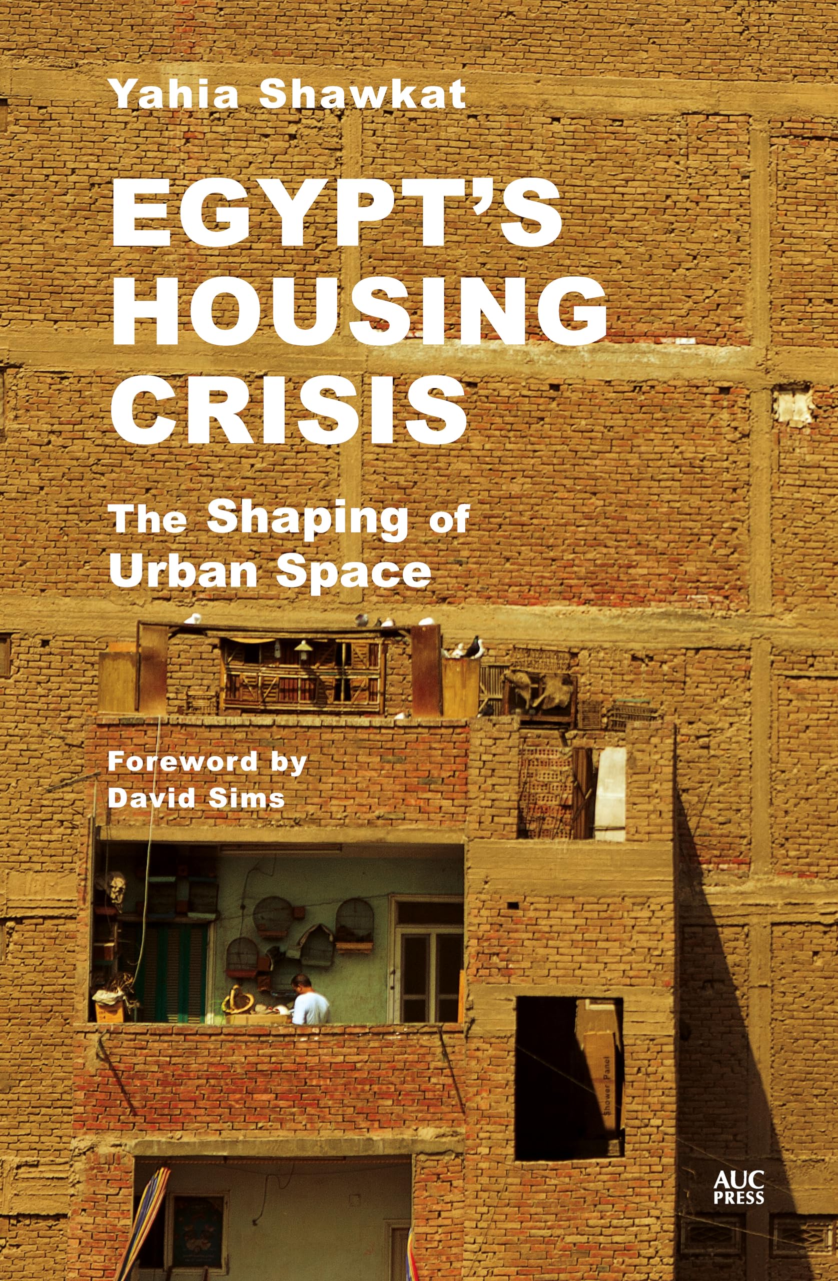 Egypt's Housing Crisis: The Shaping of Urban Space Social Sciences