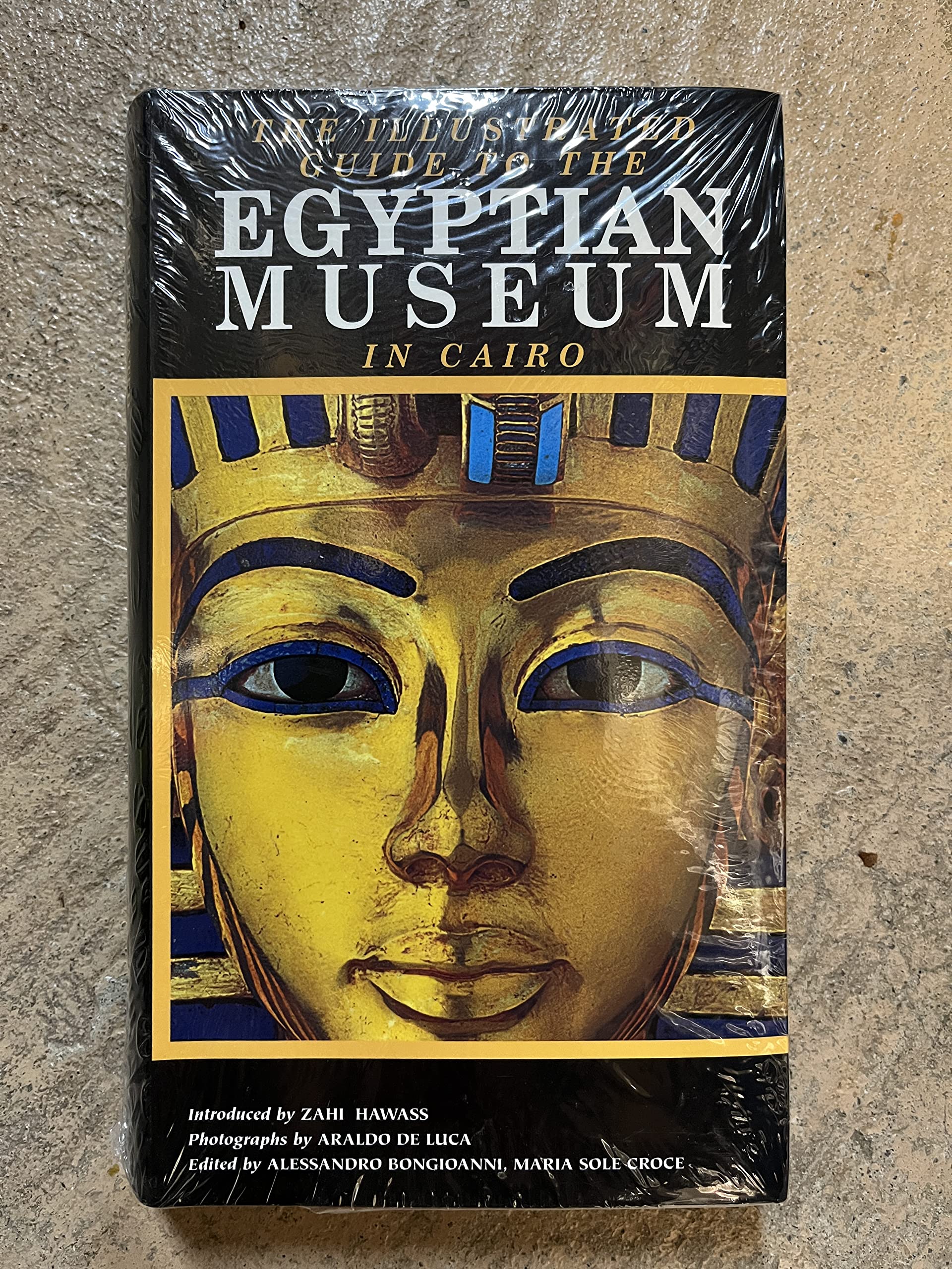 The Illustrated Guide to the Egyptian Museum Social Sciences