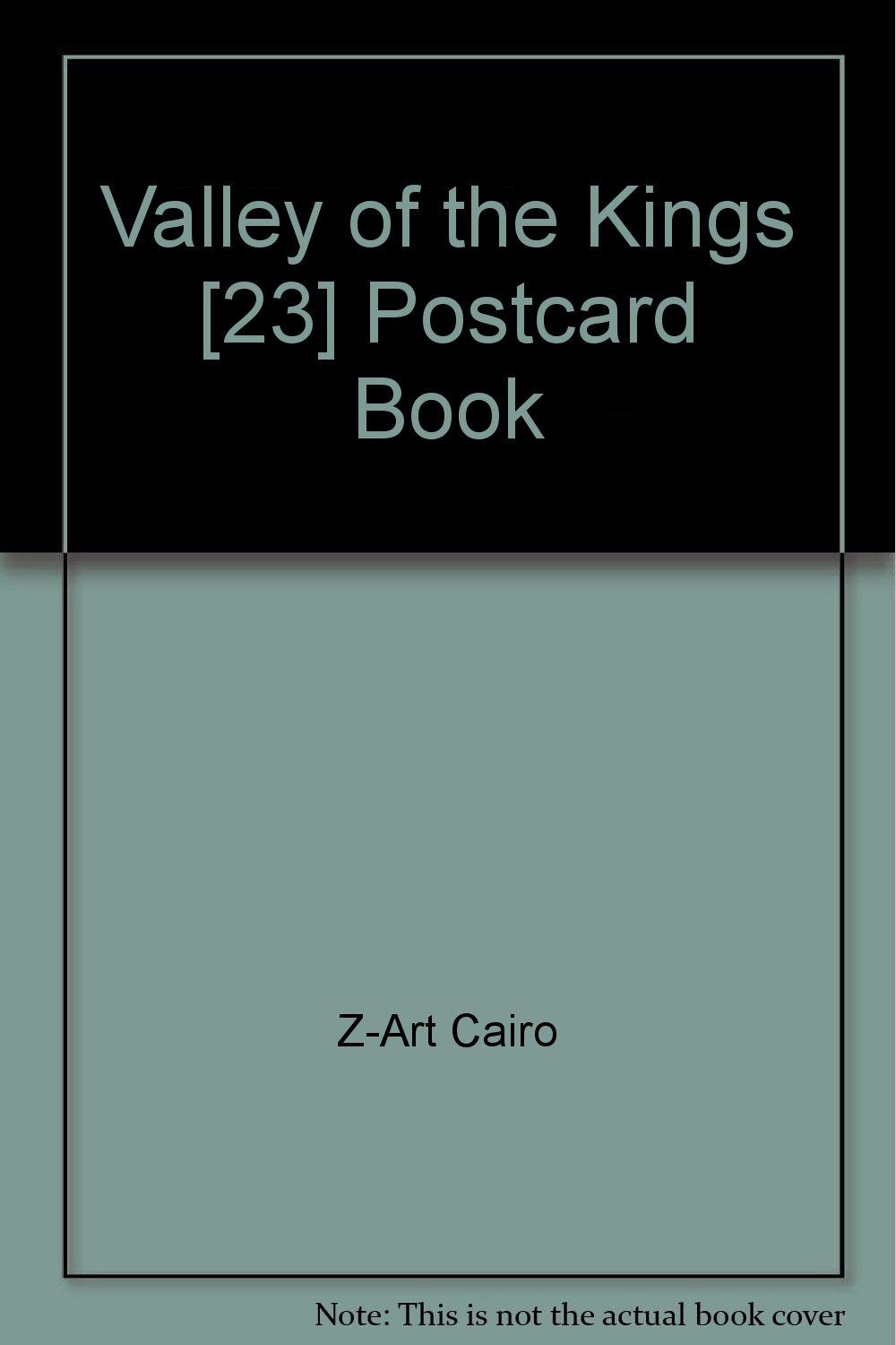 Egypt Postcard Valley of the Kings (23) Books