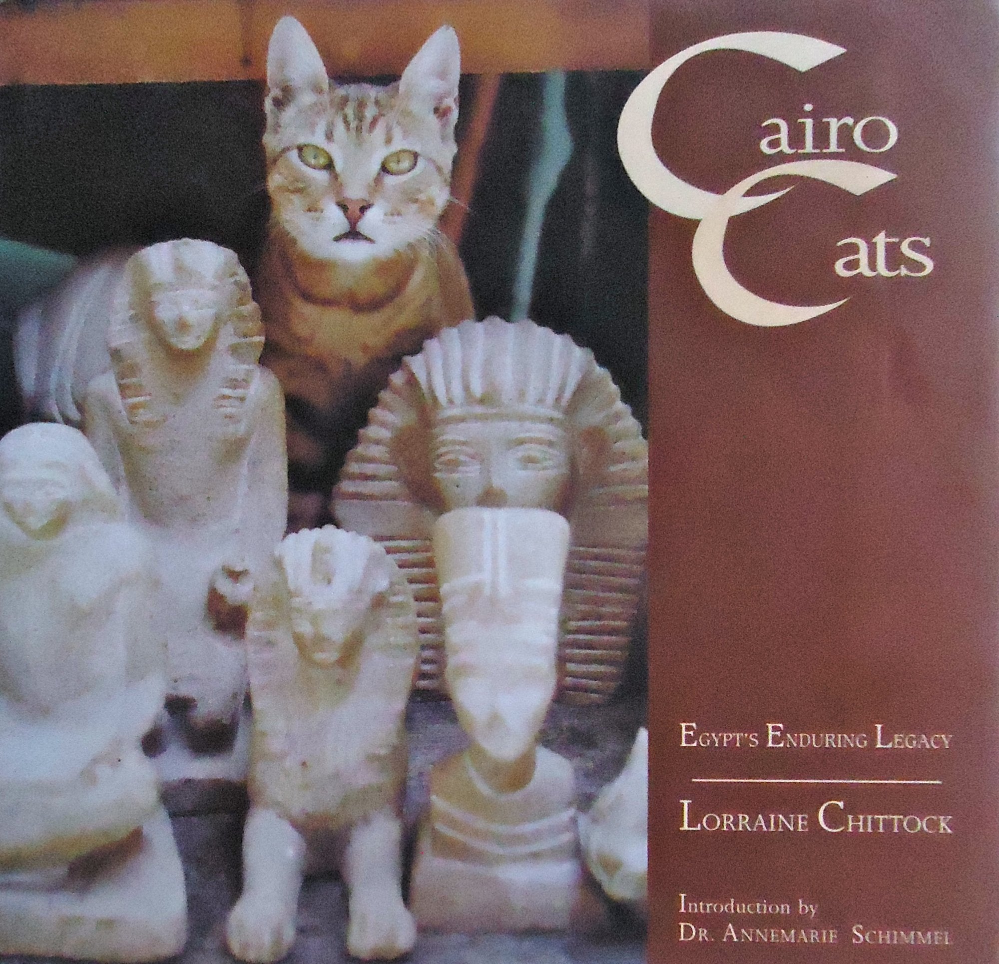 Product Image: Cats of Cairo: Egypt's Enduring Legacy