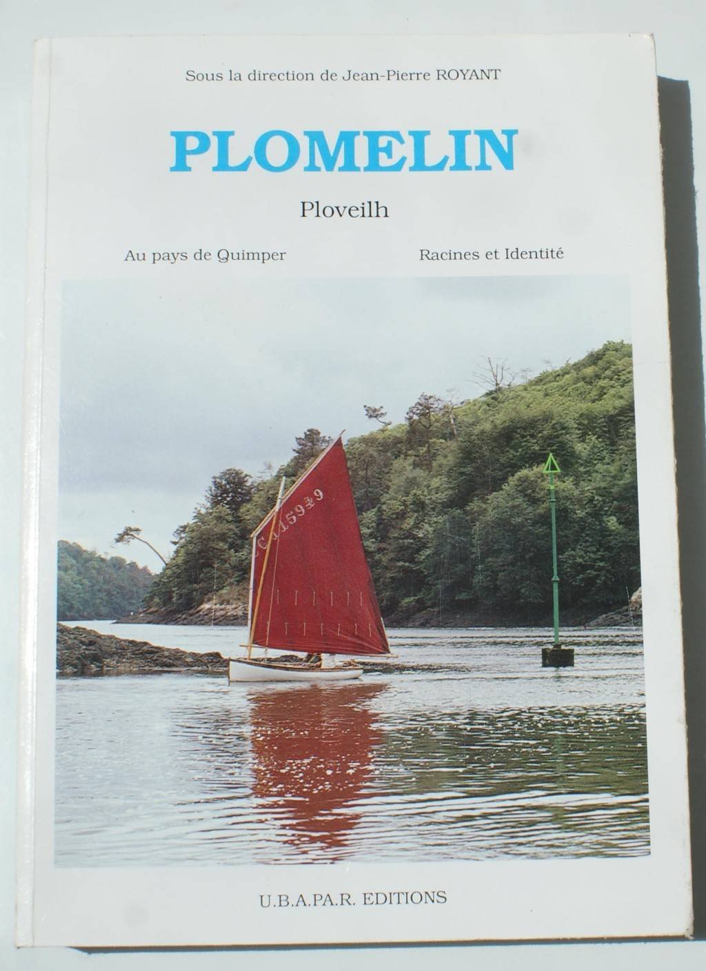Plomelin Ploveilh Au pays de Quimper Racines et identités book