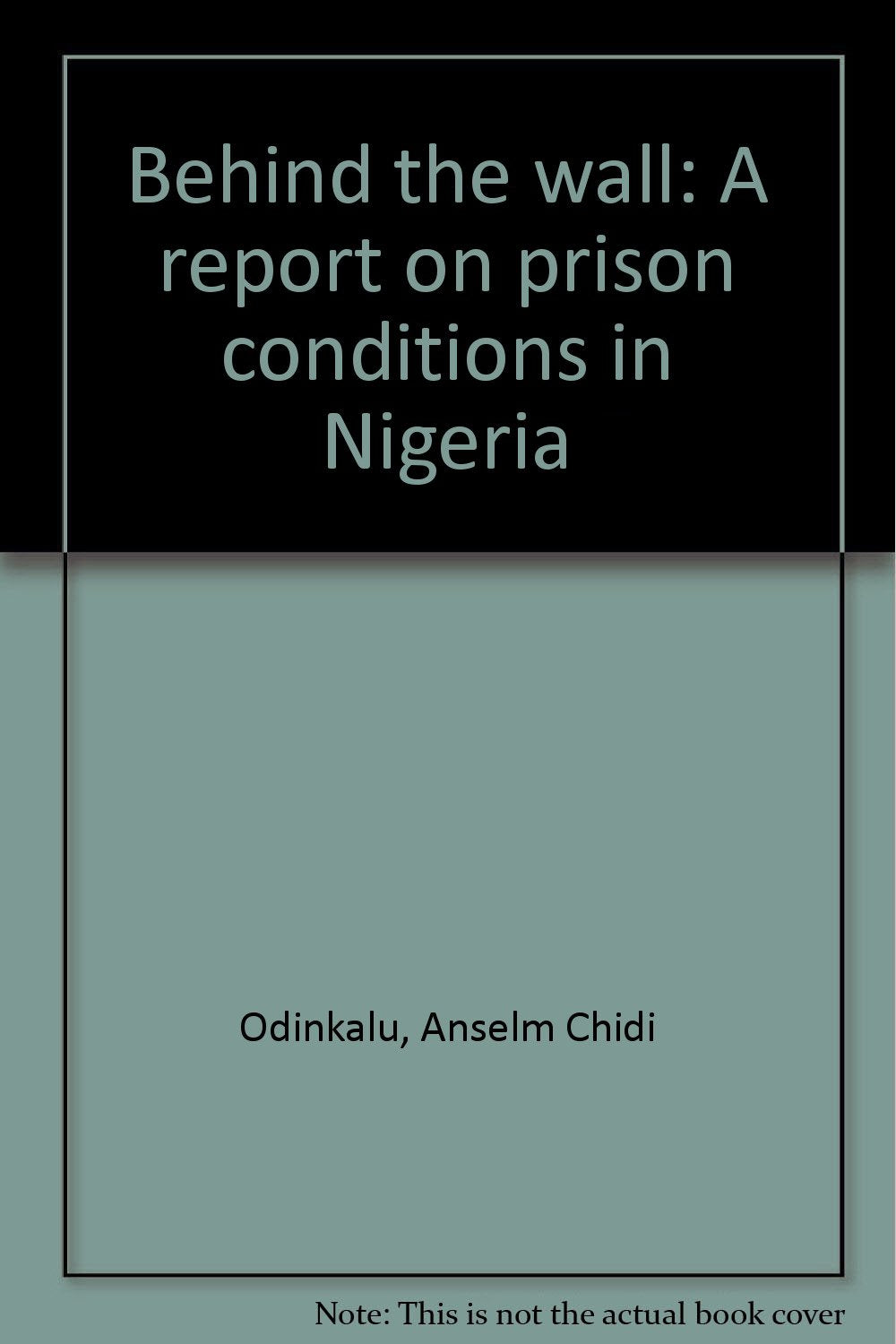 Behind the wall: A report on prison conditions in Nigeria and the Nigerian prison system Books