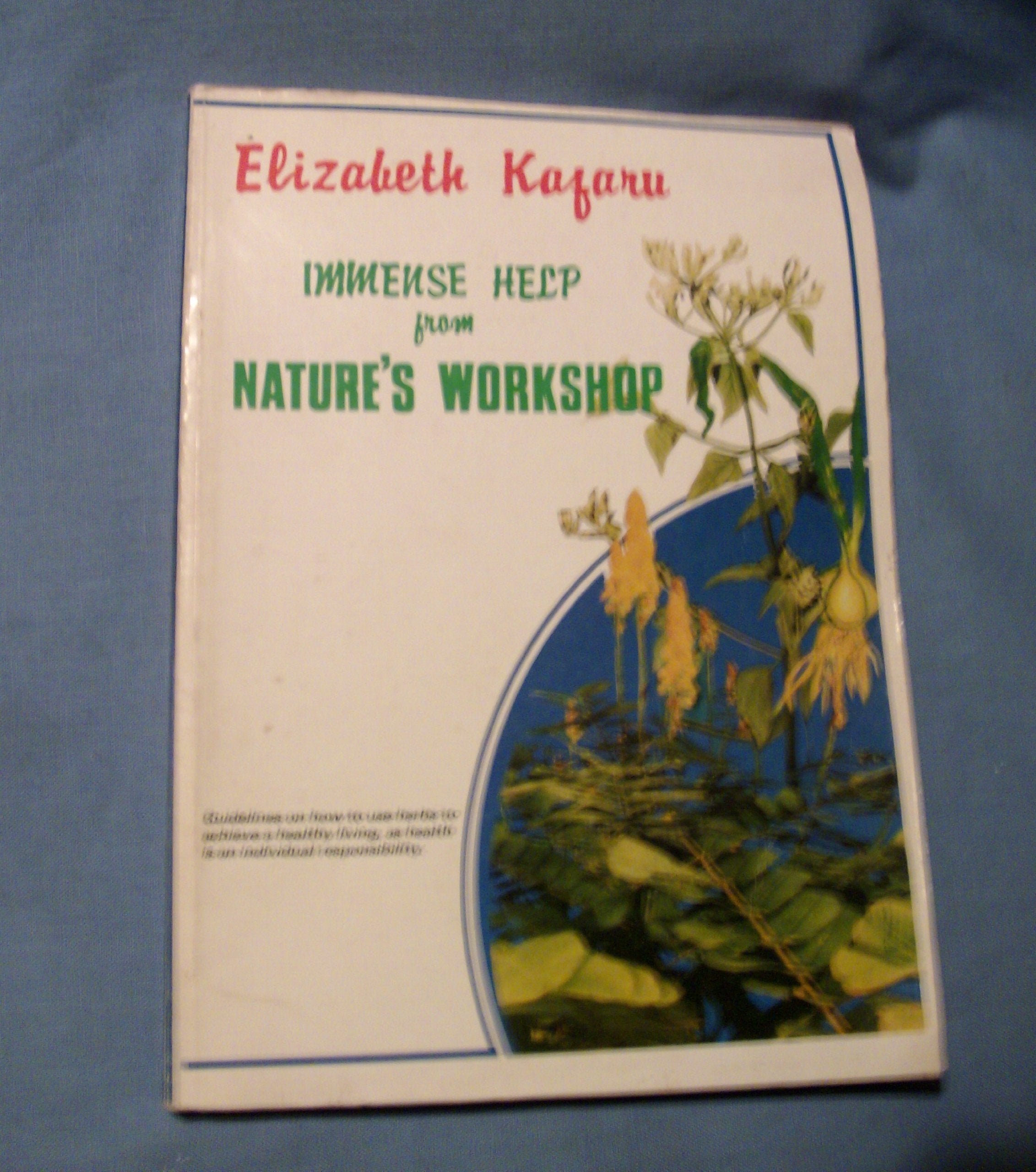 Immense Help from Nature's Workshop: Guidelines on How to Use Herbs to Achieve a Healthy Living, as Health is an Individual Responsibility Medicine