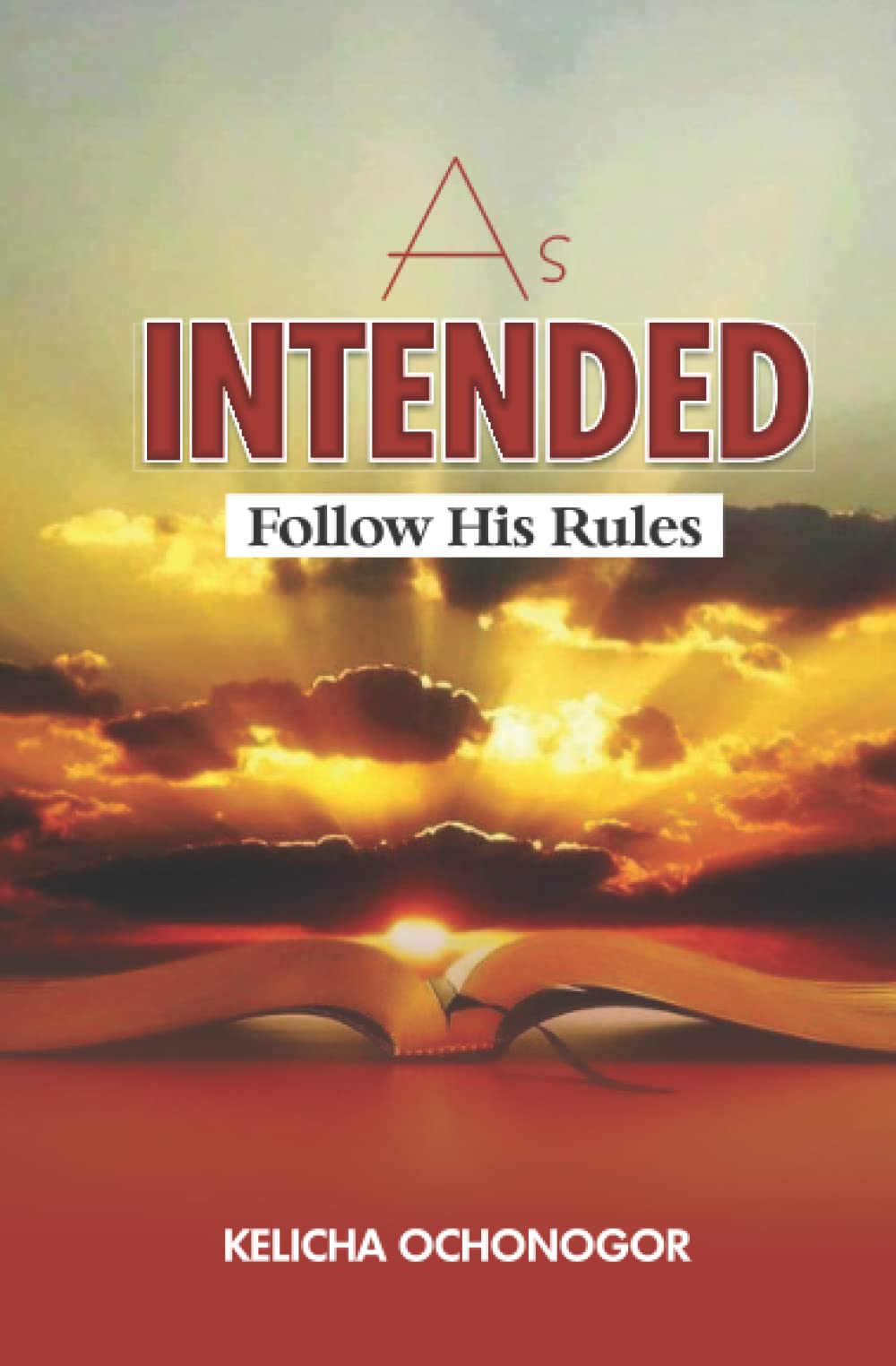Product Image: AS INTENDED: Follow His Rules