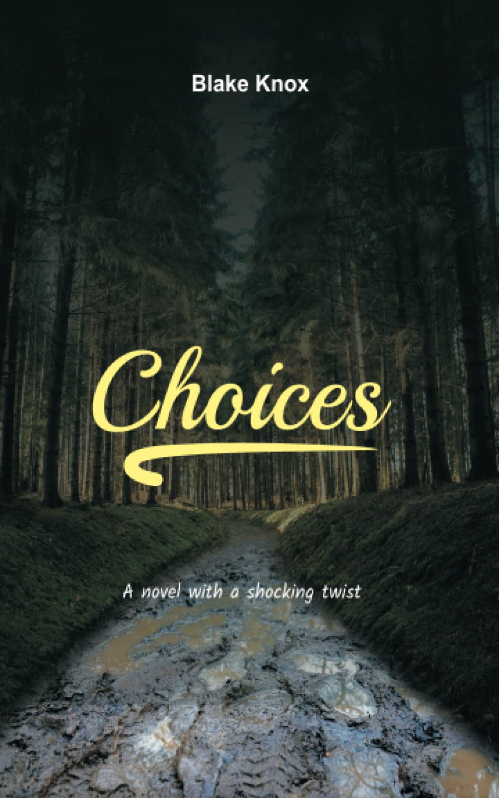 Choices: A novel with a shocking twist Books