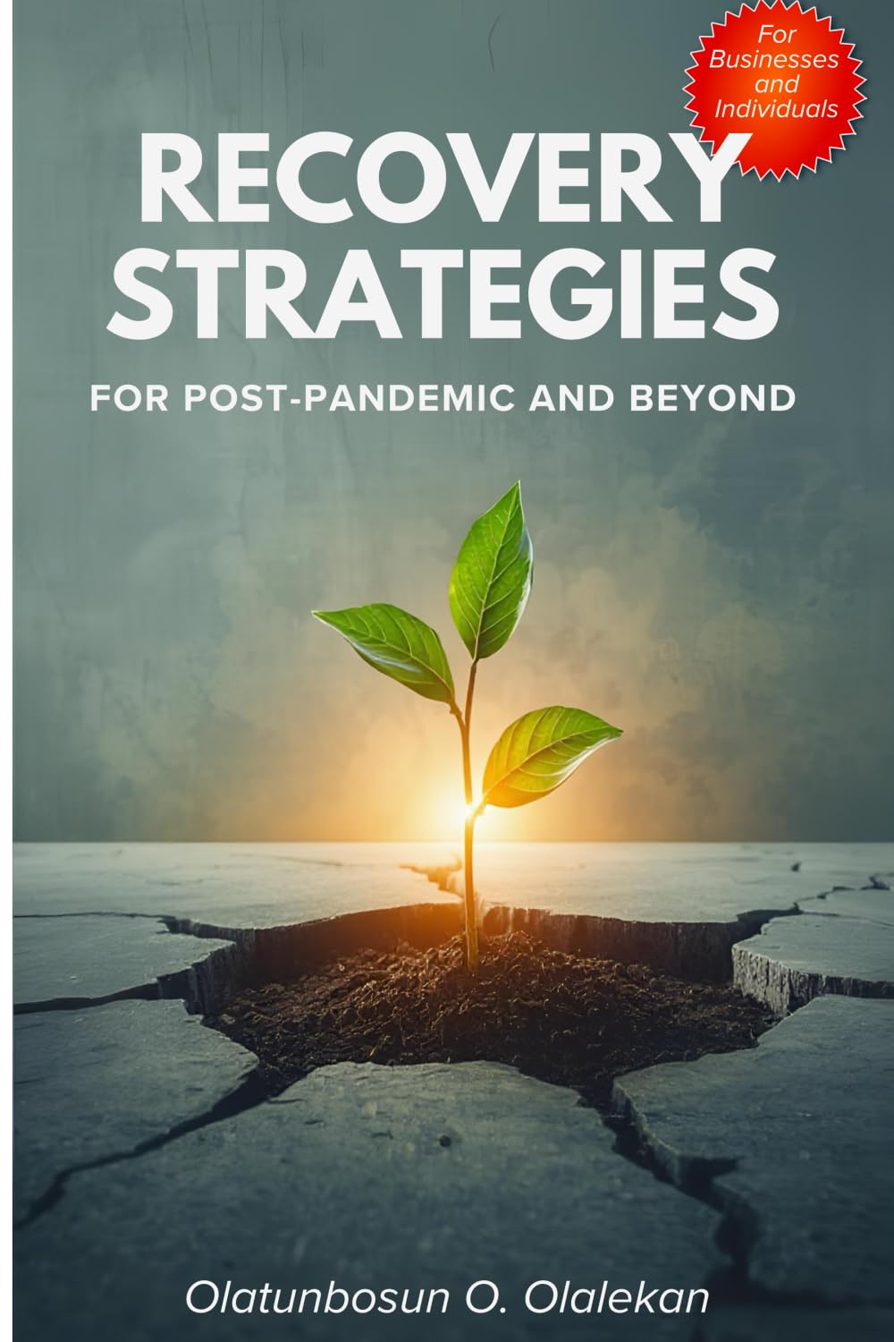 Recovery Strategies for Post-pandemic and Beyond: For Businesses and Individuals Business, Finance & Career