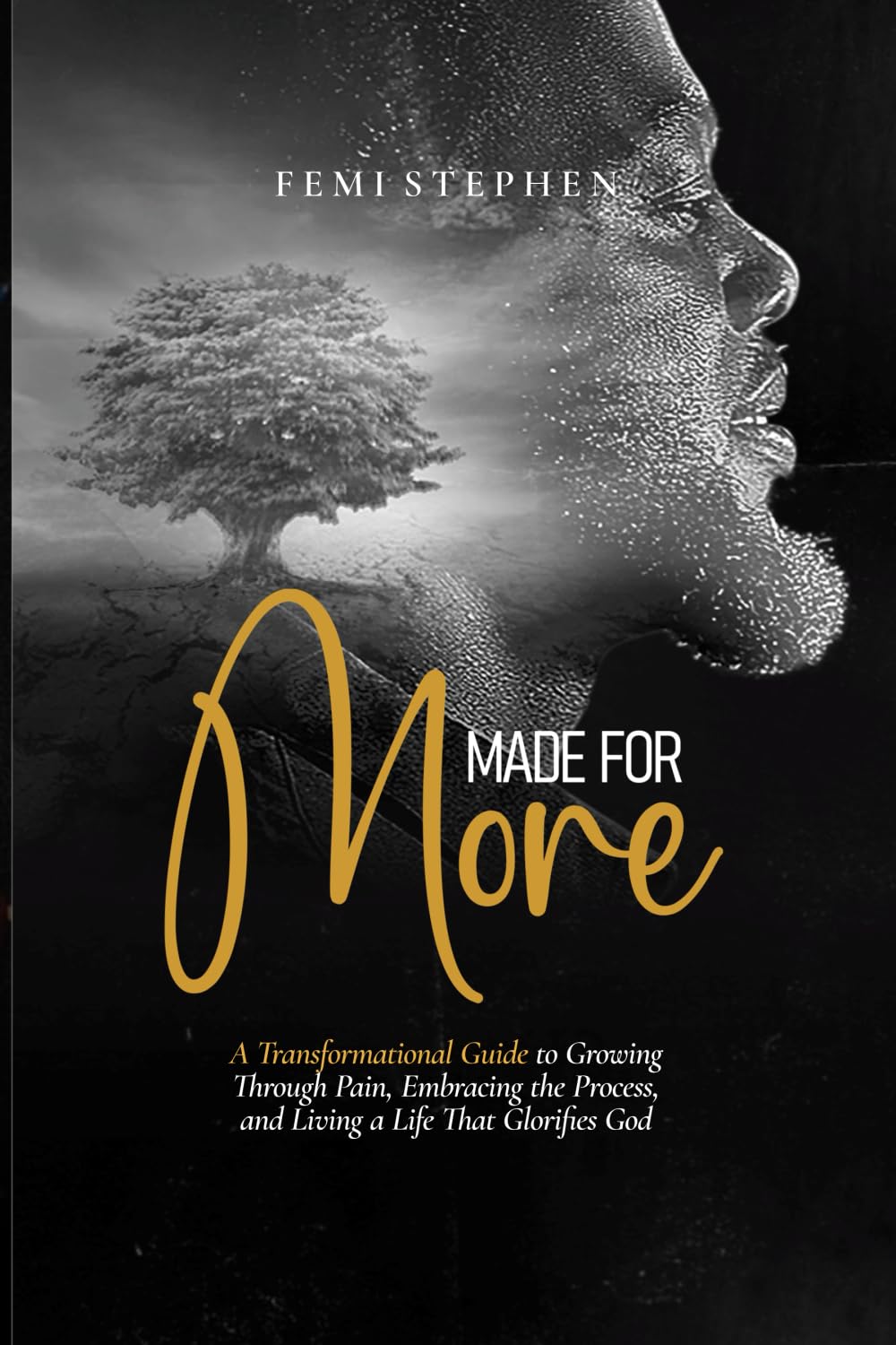 MADE FOR MORE: A Transformational Guide to Growing Through Pain, Embracing the Process, and Living a Life That Glorifies God book