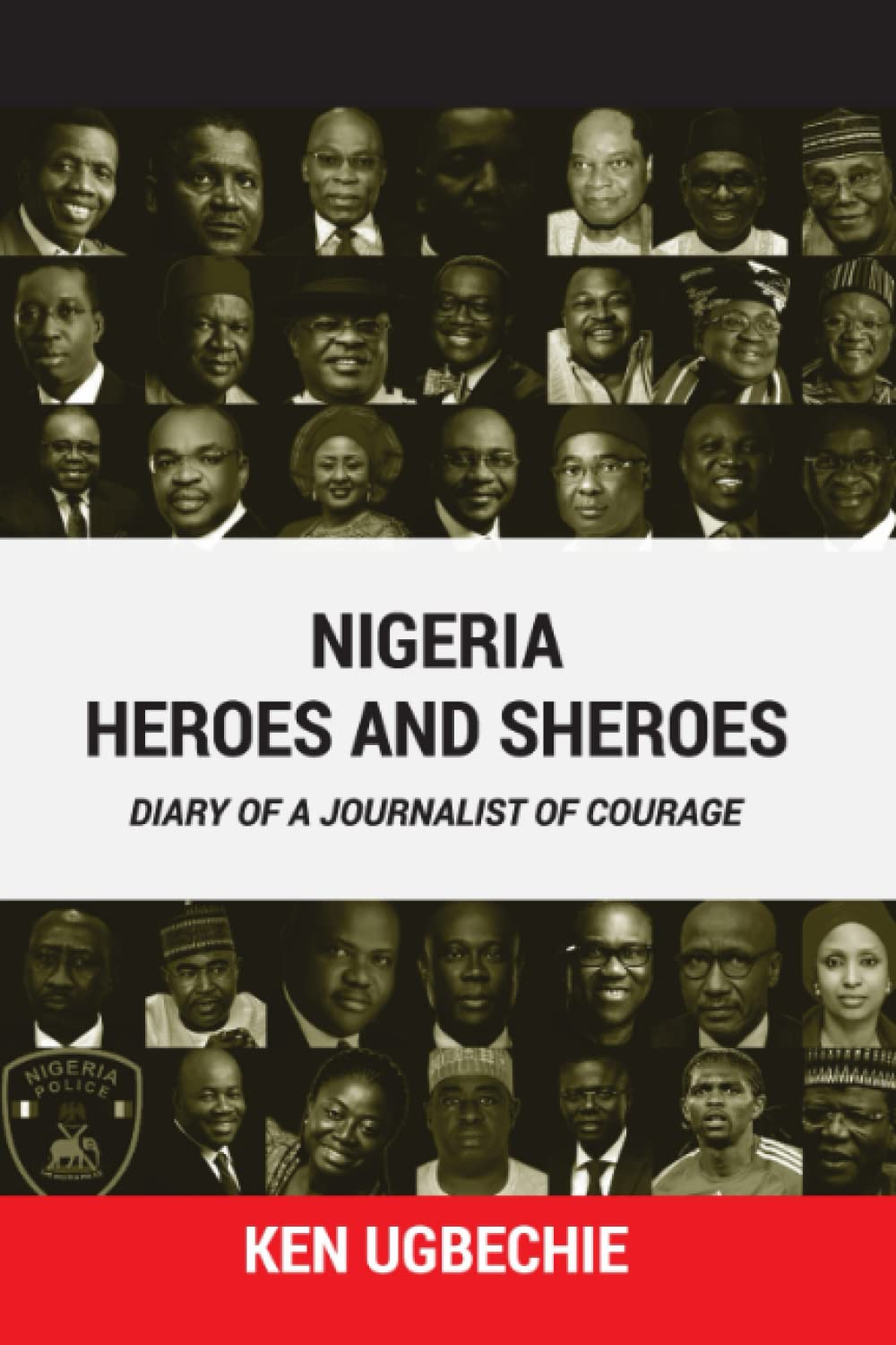 NIGERIA HEROES AND SHEROES: DIARY OF A JOURNALIST OF COURAGE book