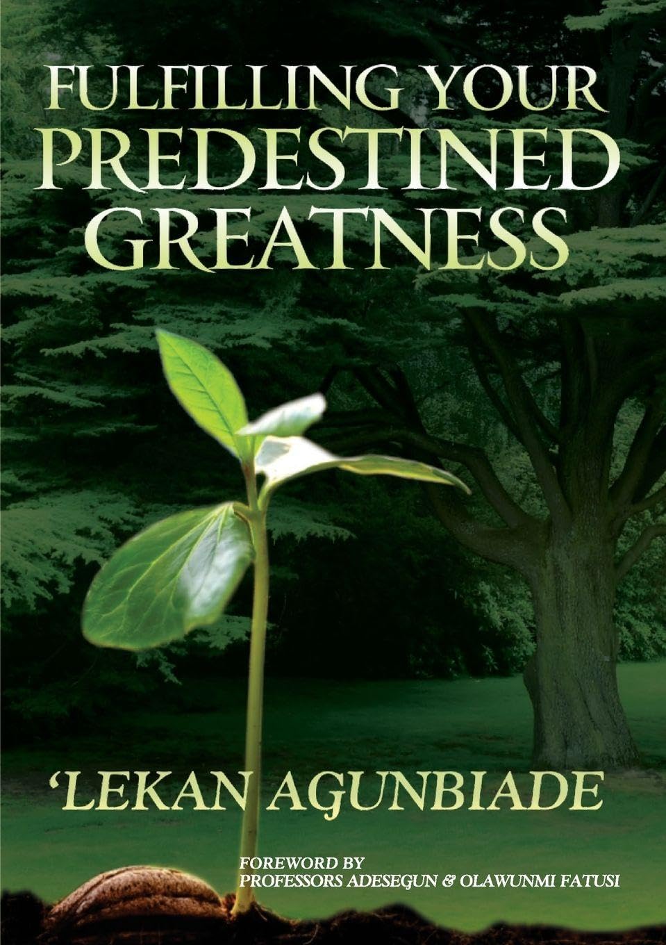 Fulfilling Your Predestined Greatness Religion & Esotericism