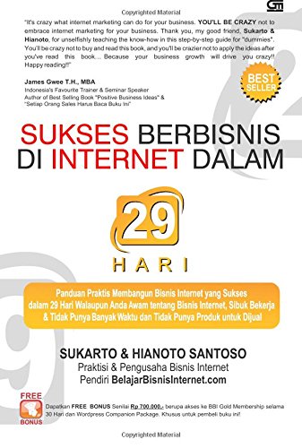 Sukses Berbisnis Di Internet Dalam 29 Hari book