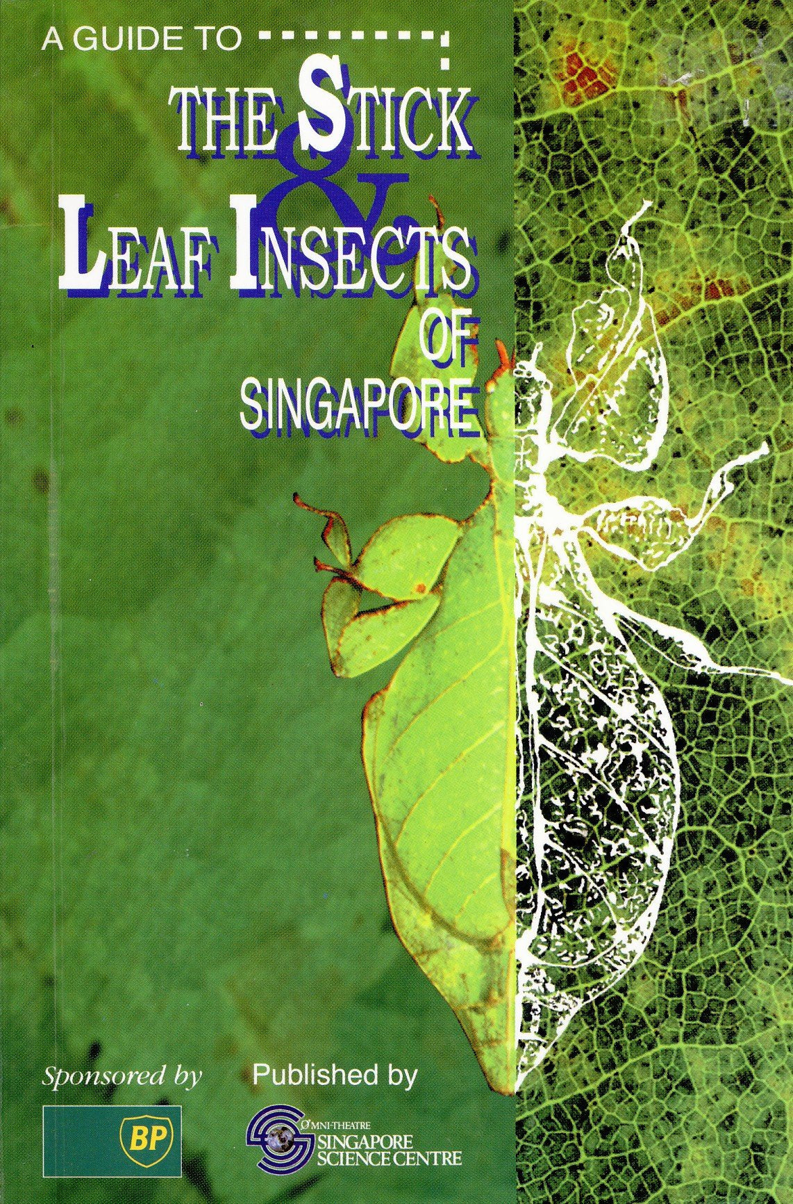 A guide to the stick & leaf insects of Singapore Books