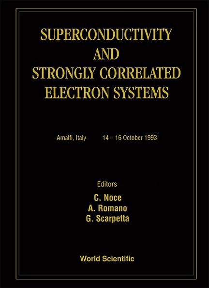 Superconductivity and Strongly Correlated Electron Systems: Amalfi, Italy 14-16 October 1993 Business & Technology