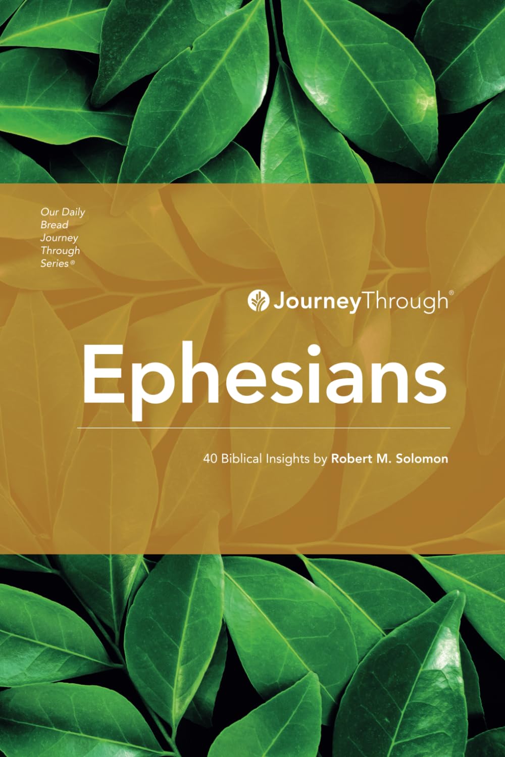 Journey Through Ephesians: 40 Biblical Insights By Robert M. Solomon (Journey Through Series: Pauline Epistles) Religion & Esotericism