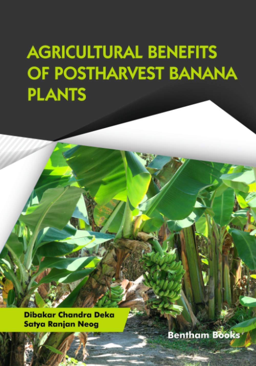 Agricultural Benefits of Postharvest Banana Plants Mathematics