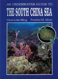 Underwater Guide to the South China Sea Mathematics
