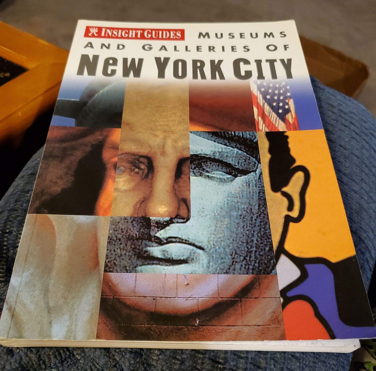 Insight Guide Museums and Galleries 0F New York City book